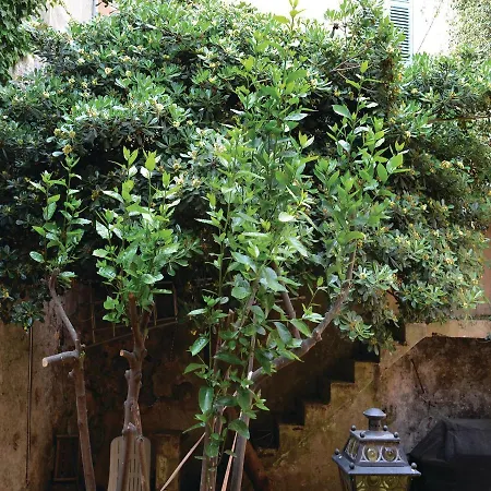 Studio In Cannes